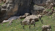 Siirt'te 79 sığınak ve mağaranın tespit edildi