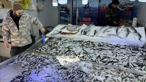 Sinop'ta hava muhalefeti balık avcılığını ve fiyatları olumsuz etkiliyor