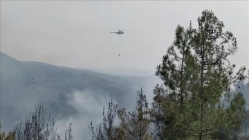 Sinop'ta çıkan orman yangınına havadan ve karadan müdahale ediliyor