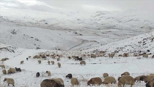 Şırnak'ta Faraşin Yaylası'nda kar yağışı etkili oldu