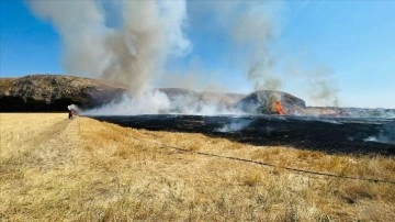 Sivas'ta çıkan yangında 40 dönümlük buğday tarlası zarar gördü