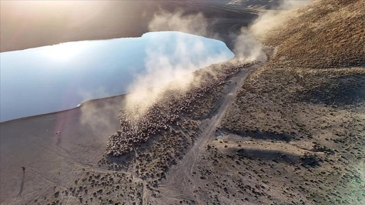 Sürülerin Nemrut Dağı'na tozlu yolculuğu