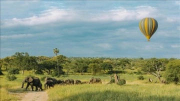 Tanzanya'da sıcak hava balonu safarisi turistlerin ilgisini çekiyor