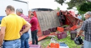 Tarım işçilerini taşıyan kamyonet kaza yaptı: 3 ölü, 5 yaralı