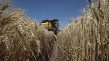 Tarım ÜFE mayısta aylık bazda yüzde 0,91 azaldı