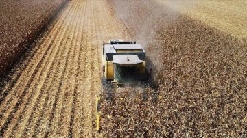 Tarım ÜFE ocakta aylık yüzde 14,83, yıllık yüzde 52 arttı