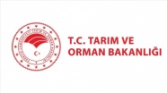 Tarım ve Orman Bakanlığı 826 sözleşmeli işçi alacak