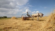 Tarım ve ormancılıkta 3 yıllık yol haritası belli oldu