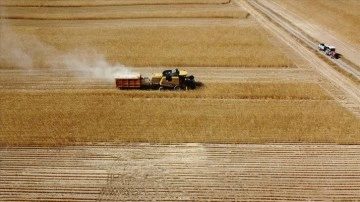 Tarımsal destekleme ödemesi bugün çiftçilerin hesaplarına yatırılacak