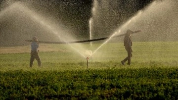 Tarımsal sulamada kullanılan elektrikte KDV'nin düşmesi çiftçinin üretim maliyetini azaltacak