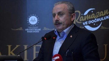 TBMM Başkanı Şentop: Avrupa'da insanların kökenini, kimliğini yok etmek isteyen anlayışlar var