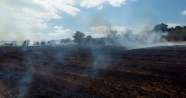 Tekirdağ'daki yangın ulaşımı engelledi