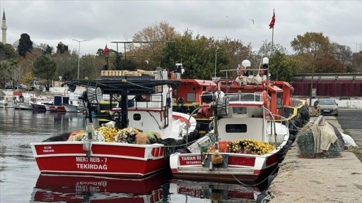 Tekirdağlı balıkçılar hamsi ve istavrit umuduyla Karadeniz'e gidecek