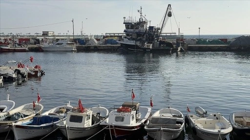 Tekirdağlı balıkçılar yeni yılda hamsi ve çinekoptan umutlu