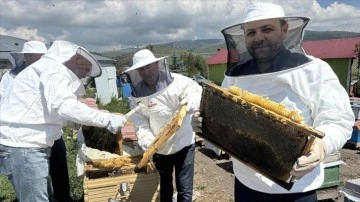 Tescilli "Ardahan çiçek balı"nda süzüm mesaisi başladı