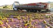 TIR'lar çarpıştı, karpuzlar yola savruldu