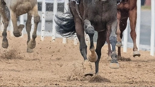 TJK Başkanı Serdal Adalı, atçılıkta "VAR" sisteminin uygulanacağını açıkladı