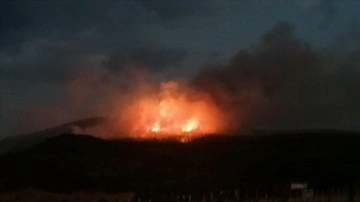 Tokat'ta ormanlık alanda çıkan yangın söndürüldü