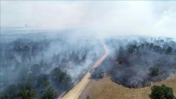 Trakya'da yangınlardan zarar gören orman alanı bu yıl yaklaşık 5 kat arttı