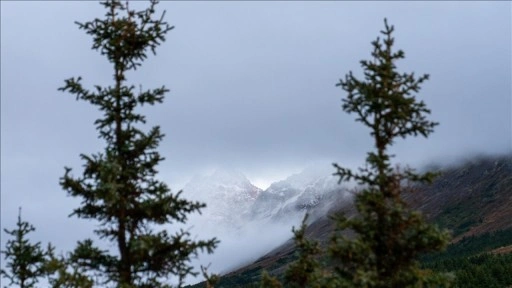 Trump'ın gündemindeki Alaska, büyük çaplı yer altı kaynaklarına sahip