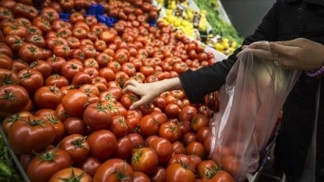 Tüketici güven endeksi son 16 ayın en yüksek seviyesine çıktı