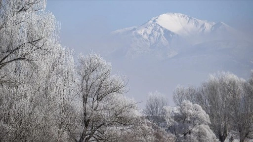 Tunceli'de dağları sis, ovalardaki ağaç ve bitkileri ise kırağı kapladı