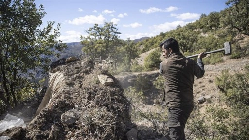 Tunceli'nin dağlarındaki kaçak avcıların kulübeleri yıkılıyor, yaban hayatı korunuyor