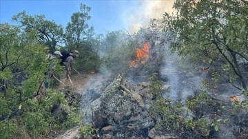 Tunceli'de ormanlık alanda çıkan örtü yangınının söndürülmesi için çalışmalar sürüyor