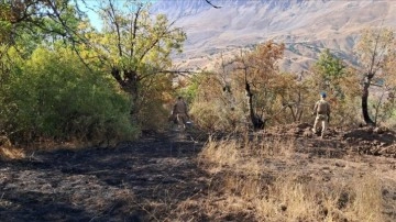 Tunceli'de ormanlık alanlarda çıkan yangınlar söndürüldü