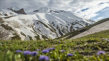 Tunceli'nin yaylalarında ilkbahar ve kış manzaraları bir arada