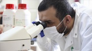 Türk bilim insanları kanserle savaşacak &#039;uyuyan hücrelerin&#039; şifrelerini keşfetti