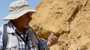 Türkiye'de 'doğal kehribar' tespit edilen saha inceleniyor