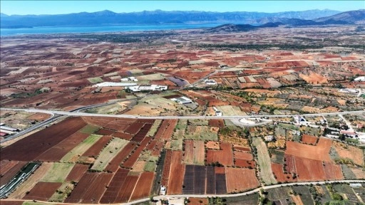 "Türkiye'nin tahıl ambarı" Konya Ovası yeni eylem planıyla vizyon büyütecek