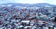 Uludağ&#039;ın yamaçlarında renk cümbüşü