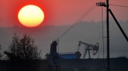Uluslararası Enerji Ajansı&#039;nın &#039;fosil yakıt yatırımlarını durdurma&#039; çağrısına Rusya&#039;dan eleştiri