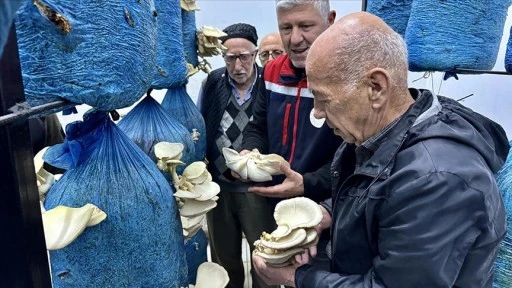 'Üretimin yaşı olmaz' diyen huzurevi sakinleri mantar yetiştirmeye başladı