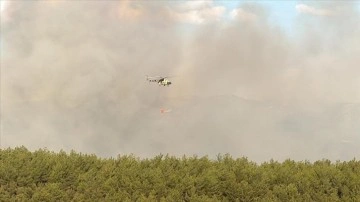 Uşak'ın Sivaslı ilçesinde çıkan orman yangınına müdahale ediliyor