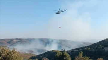 Uşak'ta iki noktada çıkan yangınlara müdahale ediliyor