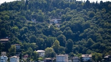 Üsküdar Vaniköy'deki izinsiz inşaat mühürlenecek