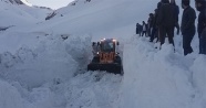 Van-Bahçesaray yolu ulaşıma açıldı