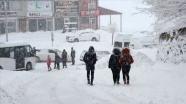 Van'da eğitime yarın da ara verildi