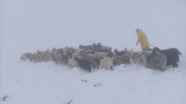 Van'da etkili olan kar, çobanlara zor anlar yaşattı