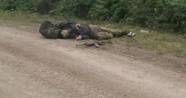 Van’da eylem hazırlığındaki 3 terörist ölü ele geçirildi