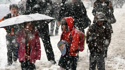 Van'da kar nedeniyle eğitime ara verildi