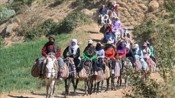 Van'da berivanlar katırlardan oluşturdukları konvoyla yaylaya çıkıyor