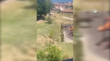 Yalova'da kaçan kurbanlık boğa çocuk parkına girdi