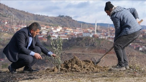 Yaylabaşı köyü doğan her bebek için dikilen fidanlarla güzelleşiyor