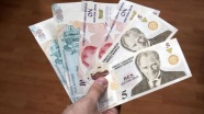 Yeni Türk Lirası banknotların zaman aşımı yıl sonunda dolacak