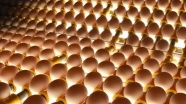Yumurta tüketimi &#039;karantina&#039; etkisiyle arttı
