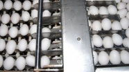 Yumurta üreticilerinden 'stoğa gerek yok' mesajı